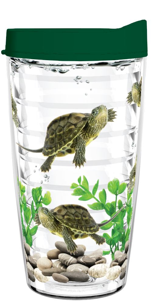 Pet Turtles Swimming